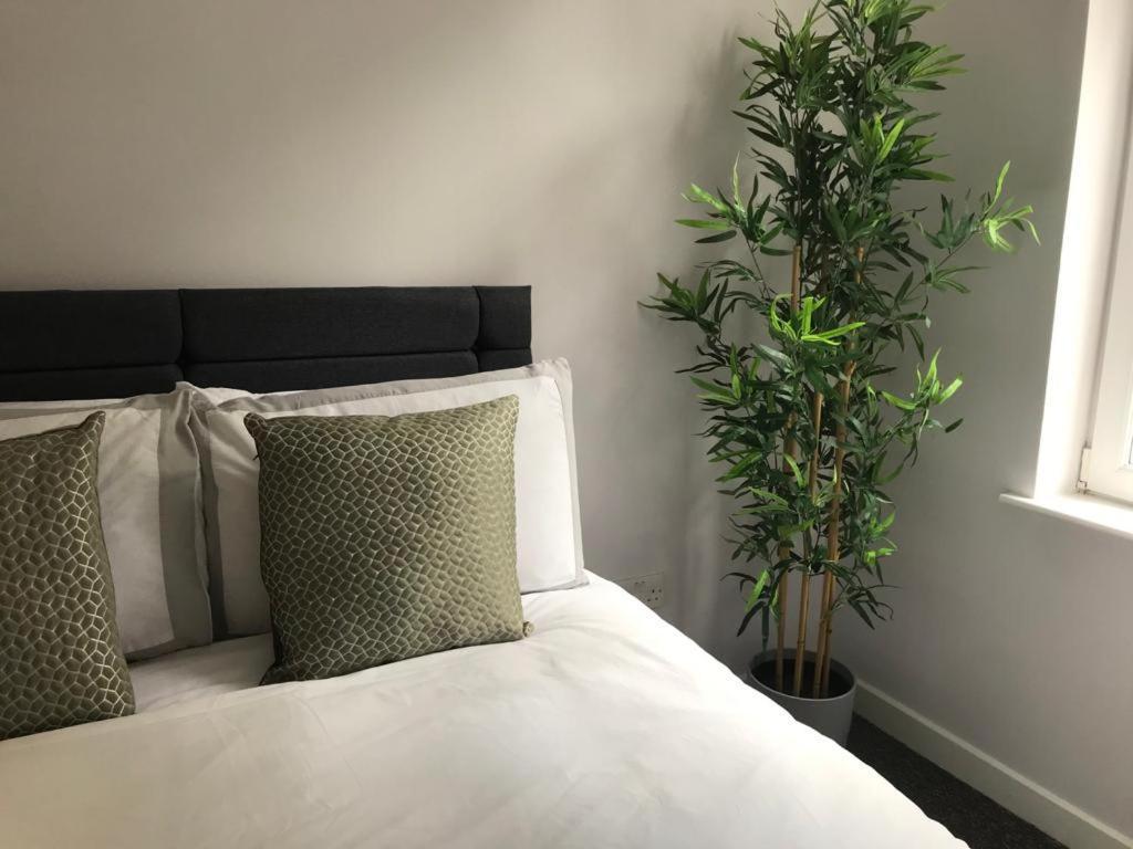 דנבליין 1Bed Golfhill Cottage מראה חיצוני תמונה